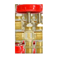 F Valve (Two Way Thread)